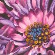 Devotion by Mary Lyn Gough