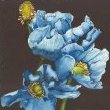 Enchantment by Mary Lyn Gough