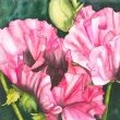 Gossip by Mary Lyn Gough