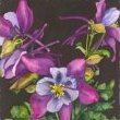 Mischief by Mary Lyn Gough