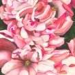 Regalement by Mary Lyn Gough
