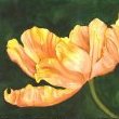 Salutation by Mary Lyn Gough