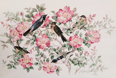 Floral and Birds