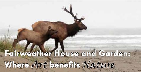 Where Art Benefits Nature